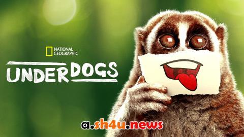مسلسل Underdogs الموسم الاول الحلقة 3 مترجمة