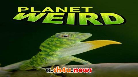 مسلسل Planet Weird الموسم الاول الحلقة 4 مترجمة