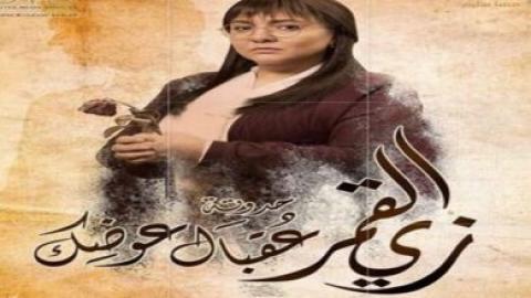 مسلسل زي القمر 2 - حكاية عقبال عوضك الحلقة 3 الثالثة - HD