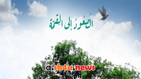 مسلسل الصعود الى القمة الحلقة 3 الثالثة - HD