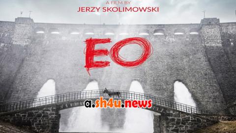 فيلم EO 2022 مترجم - HD