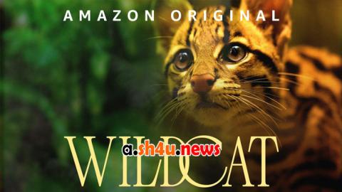 فيلم Wildcat 2022 مترجم - HD