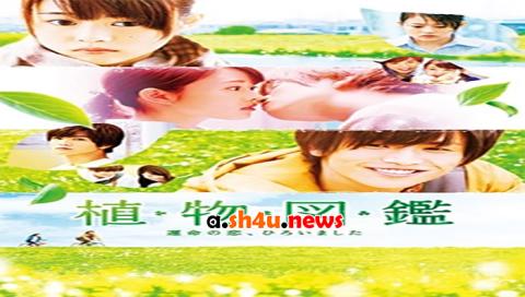 فيلم Evergreen Love 2016 مترجم - HD