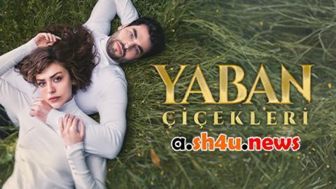 مسلسل الازهار البرية الحلقة 3 | قصة عشق - الأخيرة