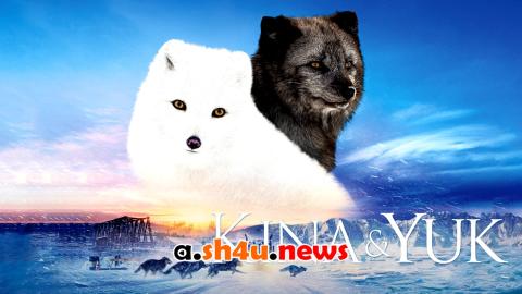 فيلم Kina & Yuk 2023 مترجم - HD