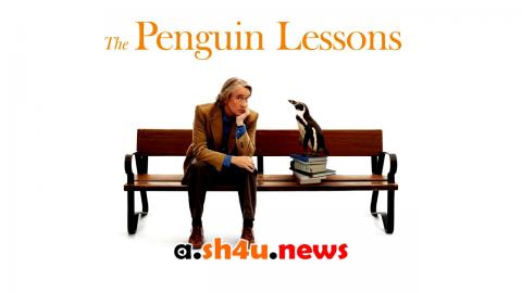 فيلم The Penguin Lessons 2024 مترجم – HD