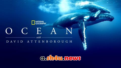 فيلم Ocean with David Attenborough 2025 مترجم - HD