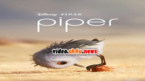 فيلم Piper 2016 مترجم - HD