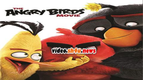 فيلم The Angry Birds Movie 2016 مترجم - HD