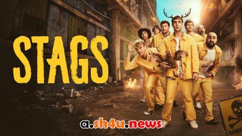 مسلسل Stags الموسم الاول الحلقة 7 مترجمة