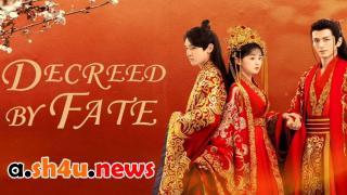 مسلسل Decreed by Fate الحلقة 14 الرابعة عشر - HD