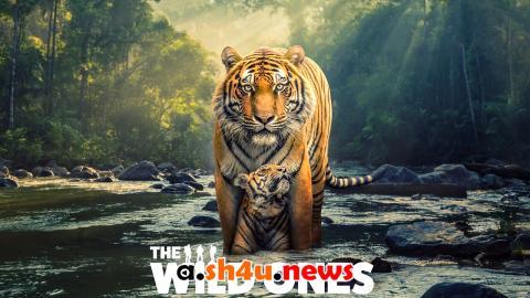 مسلسل The Wild Ones الموسم الاول الحلقة 6 مترجمة - نهاية الموسم
