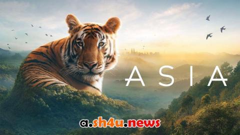 مسلسل Asia الموسم الاول الحلقة 5 مترجمة